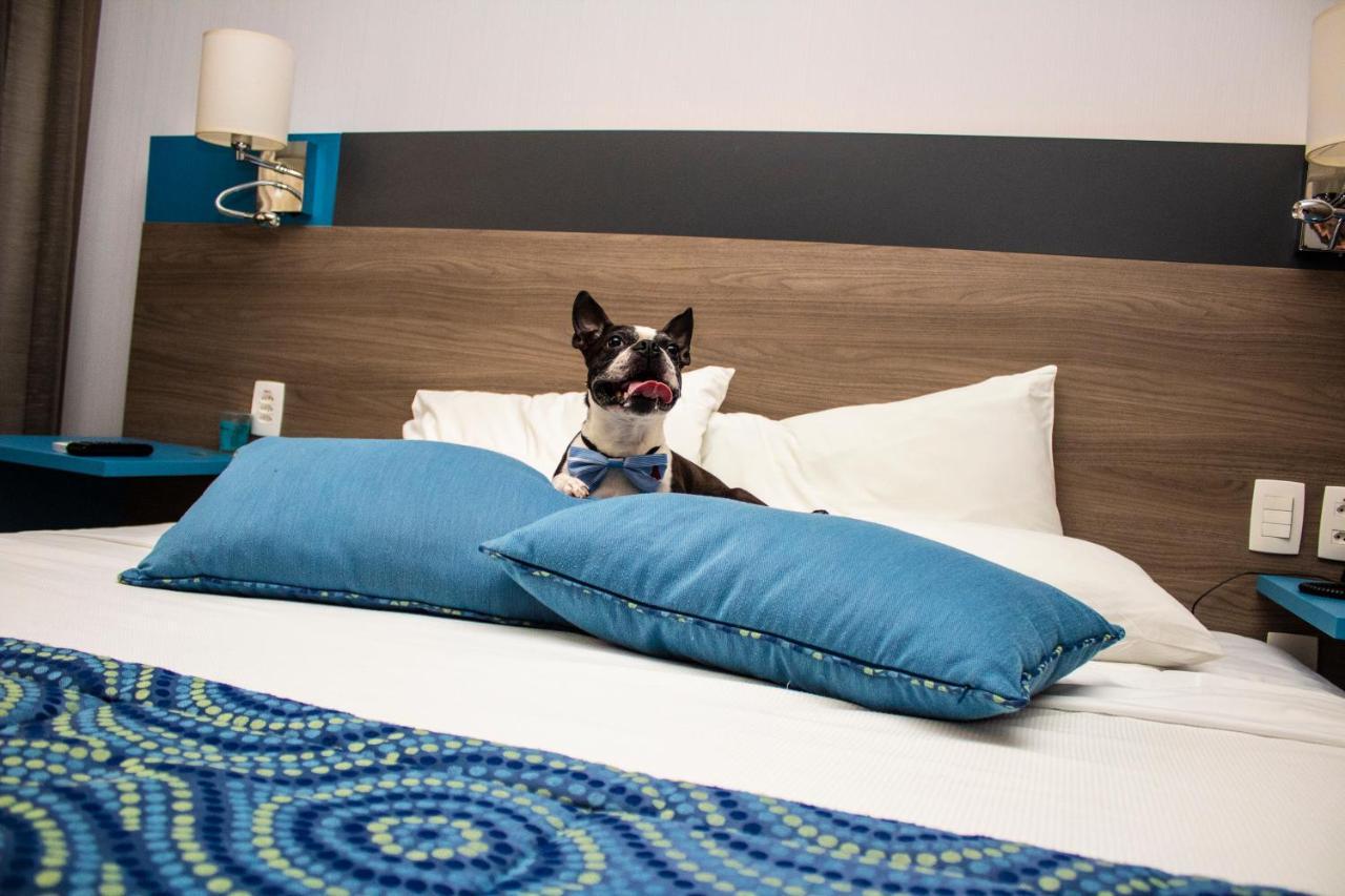 Hilton Garden Inn Santo Andre Esterno foto